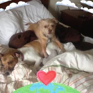 Meet your Posher, Randall